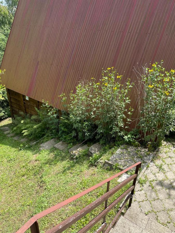 Domek Na Gorze Z Pieknym Widokiem Bukowiec  Kültér fotó